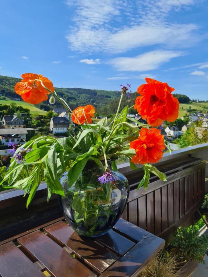Panoramablick Willingen Schwalefeld Apartment Ngoại thất bức ảnh