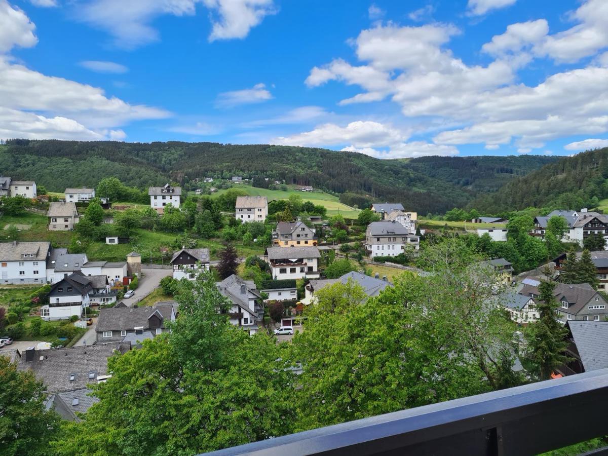 Panoramablick Willingen Schwalefeld Apartment Ngoại thất bức ảnh